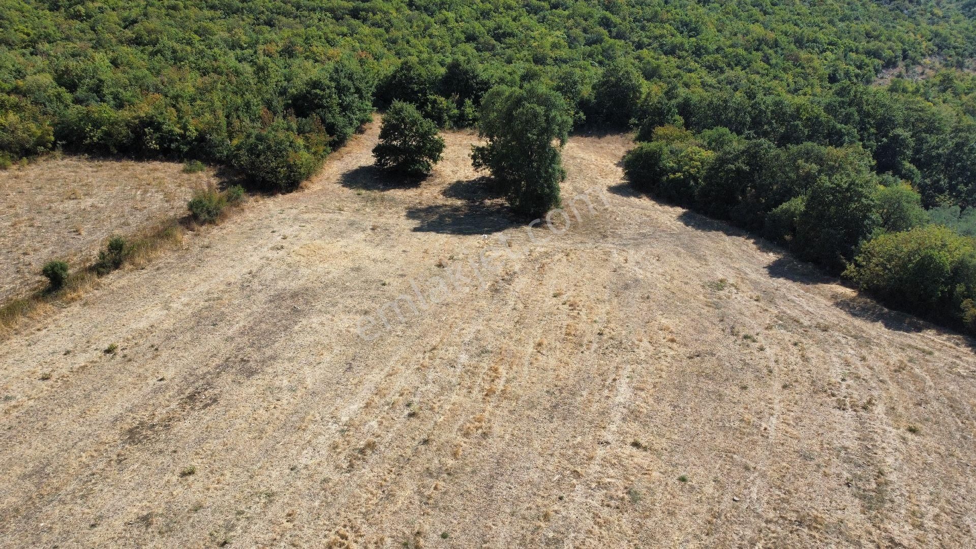 Bursa Nilüfer Akçalar'da Göl Manzaralı Satılık Yatırımlık Arazi - Görsel 17