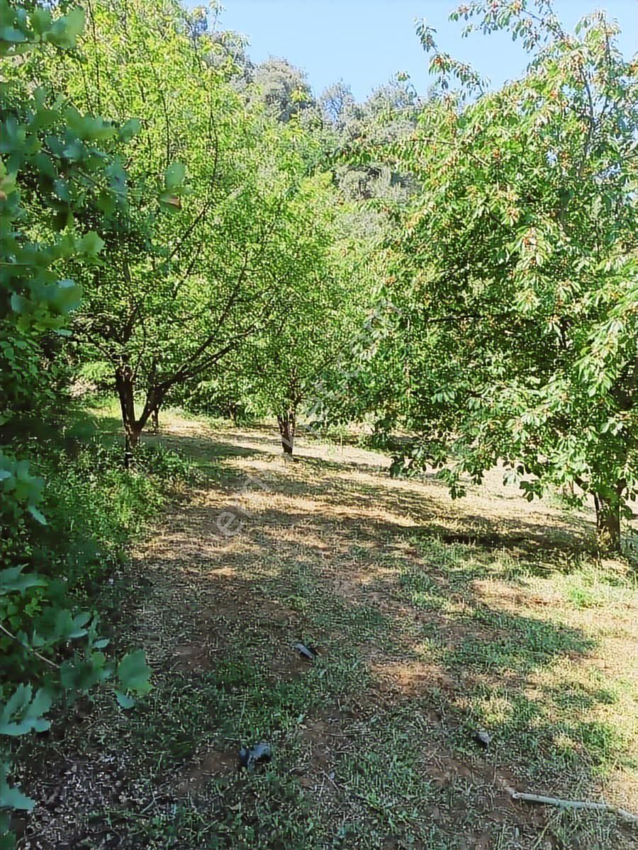 Yatırım Fırsatı - Görsel 15