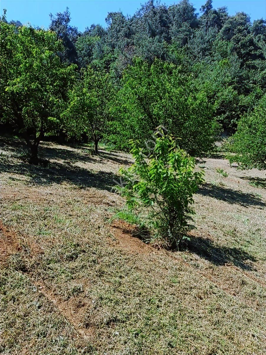 Yatırım Fırsatı - Görsel 5