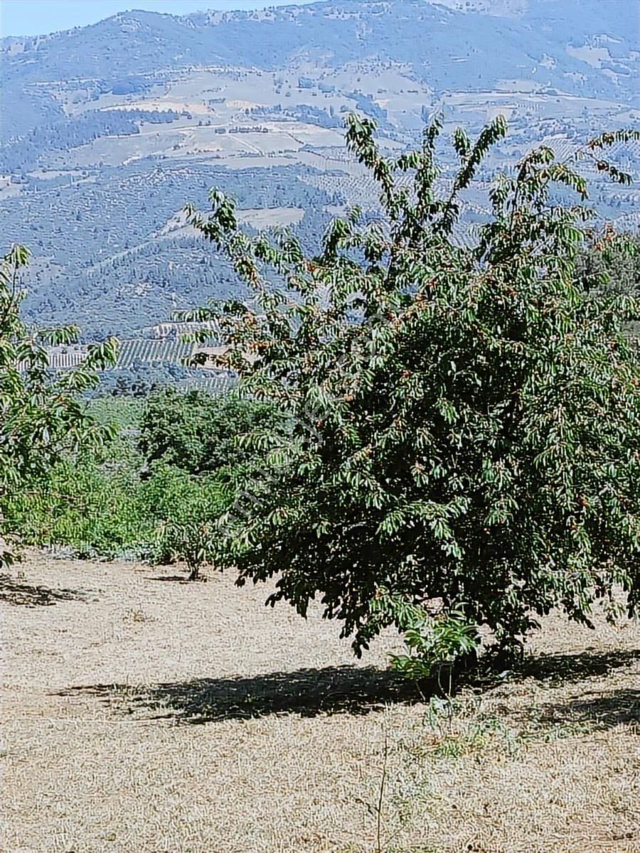Yatırım Fırsatı - Görsel 9