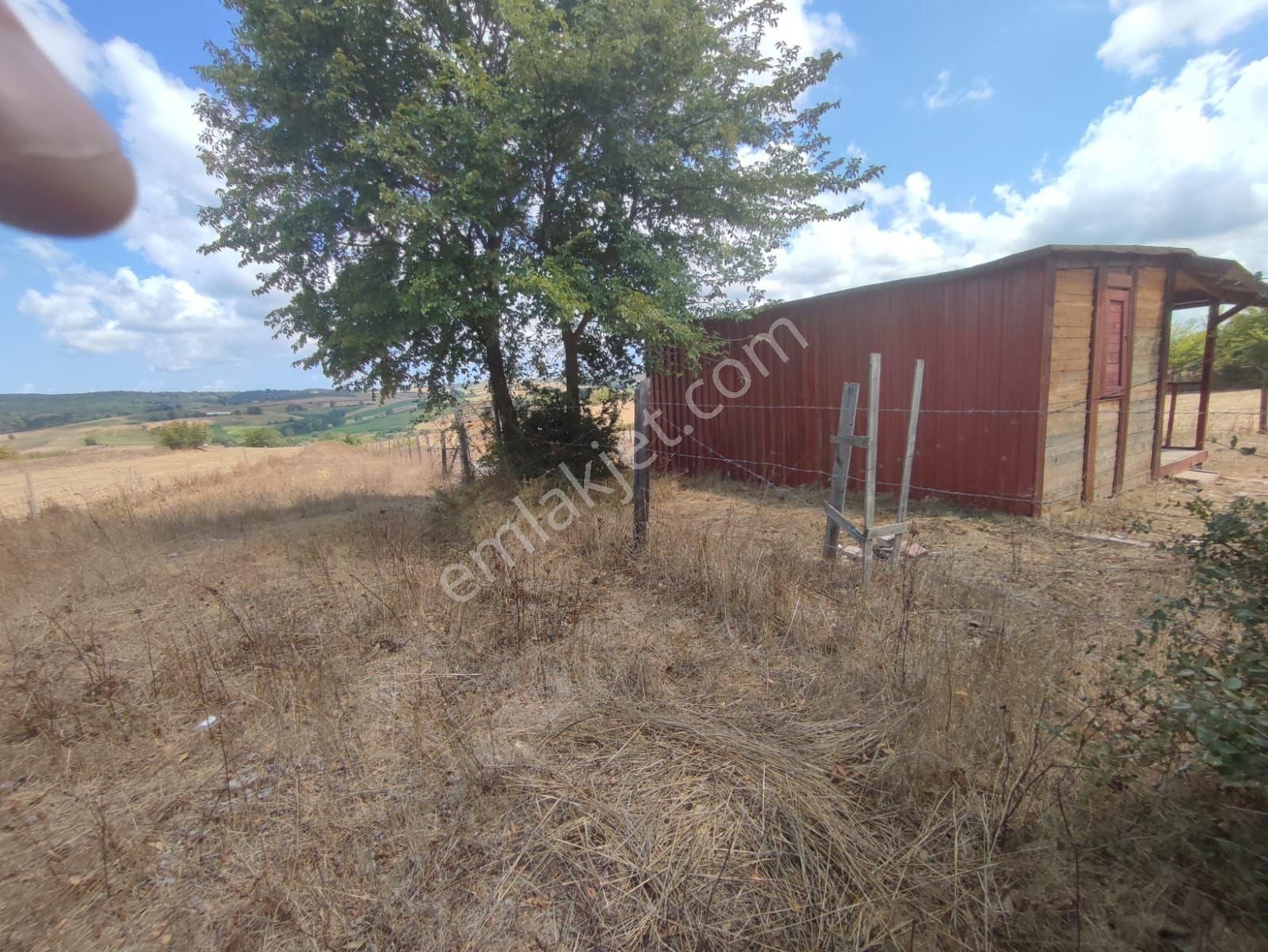 Kandıra Balci Köyünde 773m2 Resmi Yollu Tarla