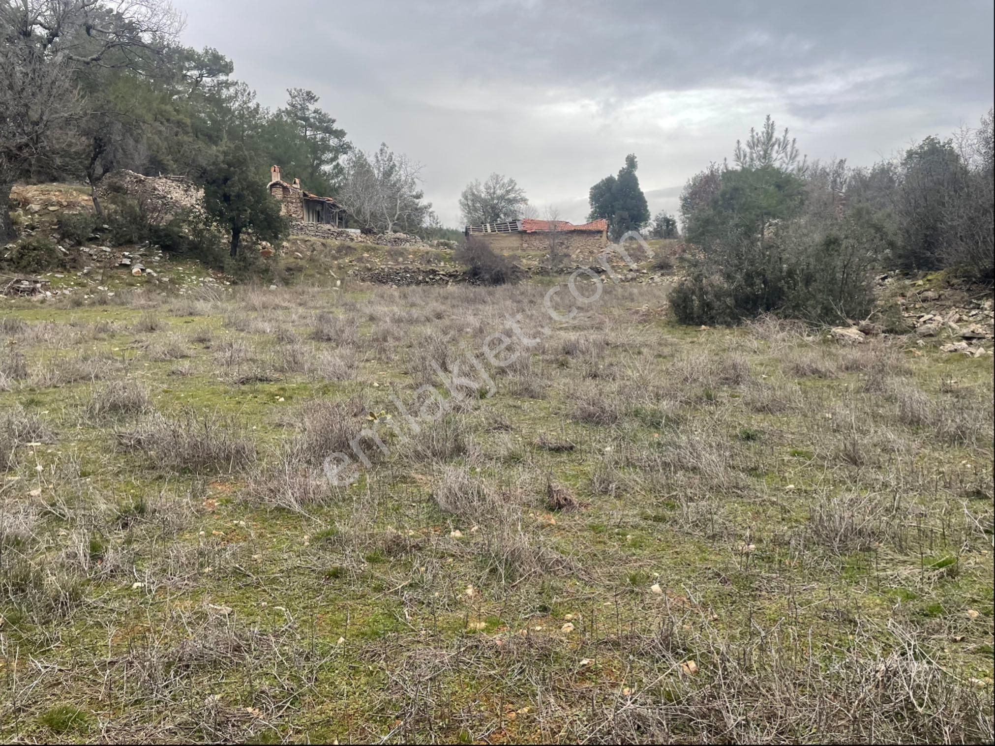 Muğla Ula Gölcük Mah.de Satılık Tarla. - Görsel 5
