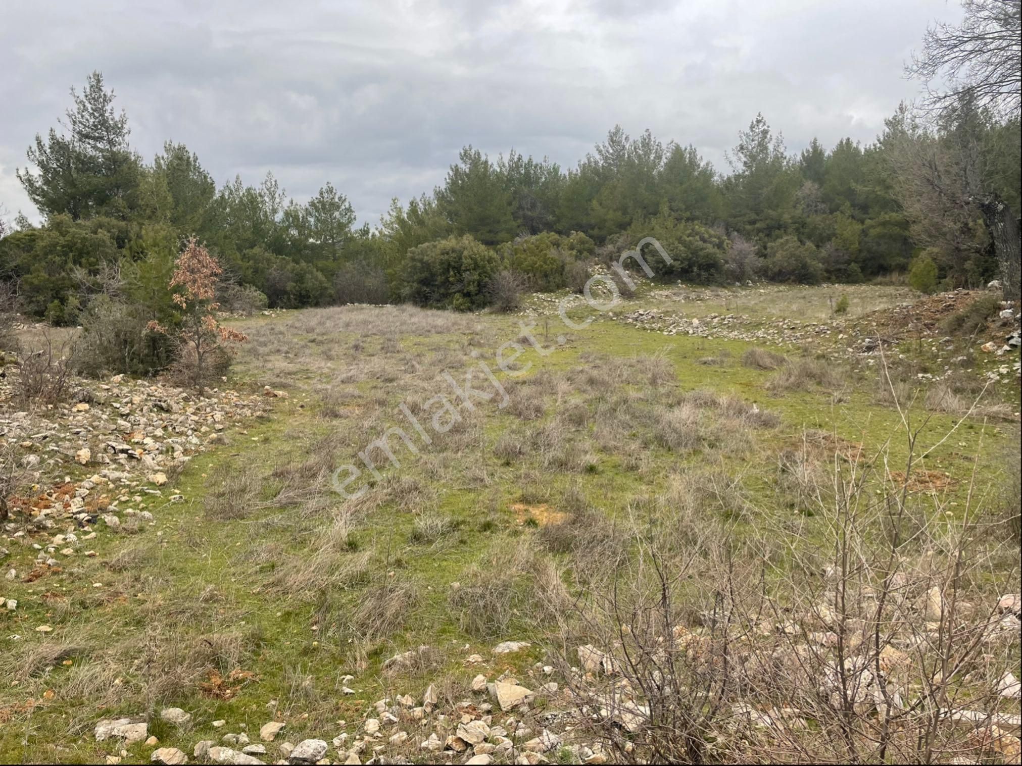 Muğla Ila Gölcük Mah.de 1.180 M2.tarla Satılık