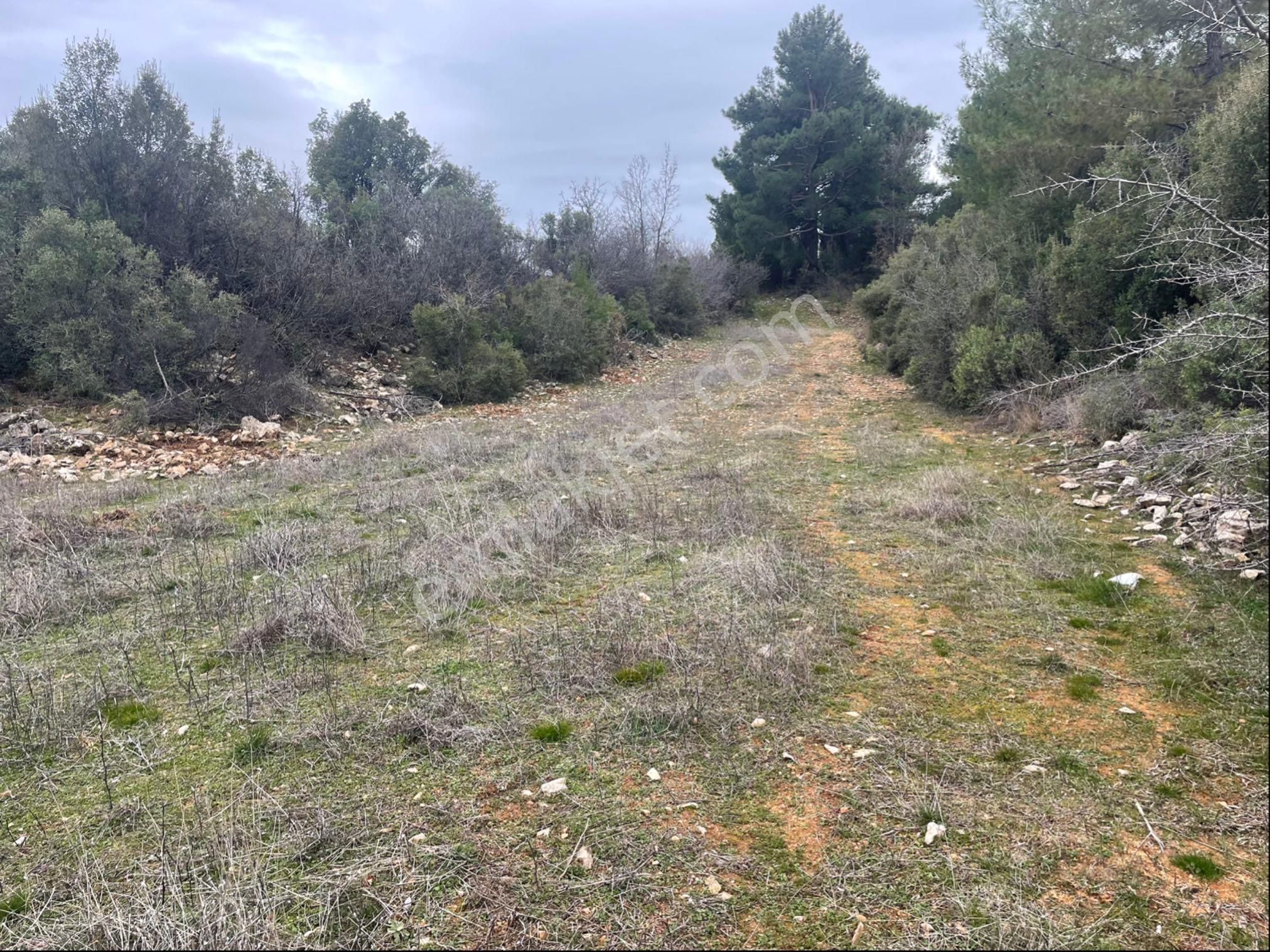 Muğla Ula Gölcük Mah.de Satılık Tarla. - Görsel 8