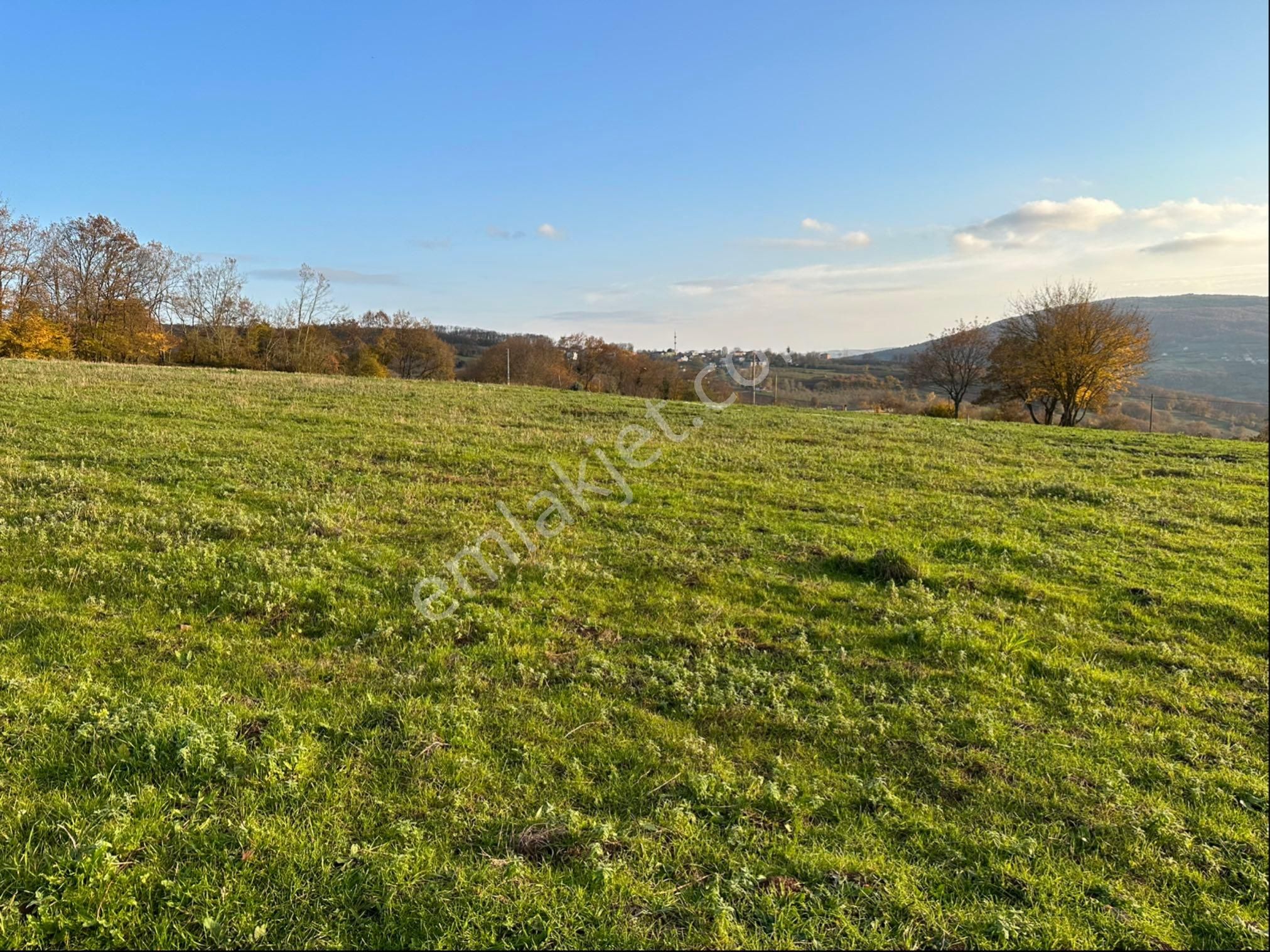 Sahibinden Satılık Köseli De Tarla - Görsel 8