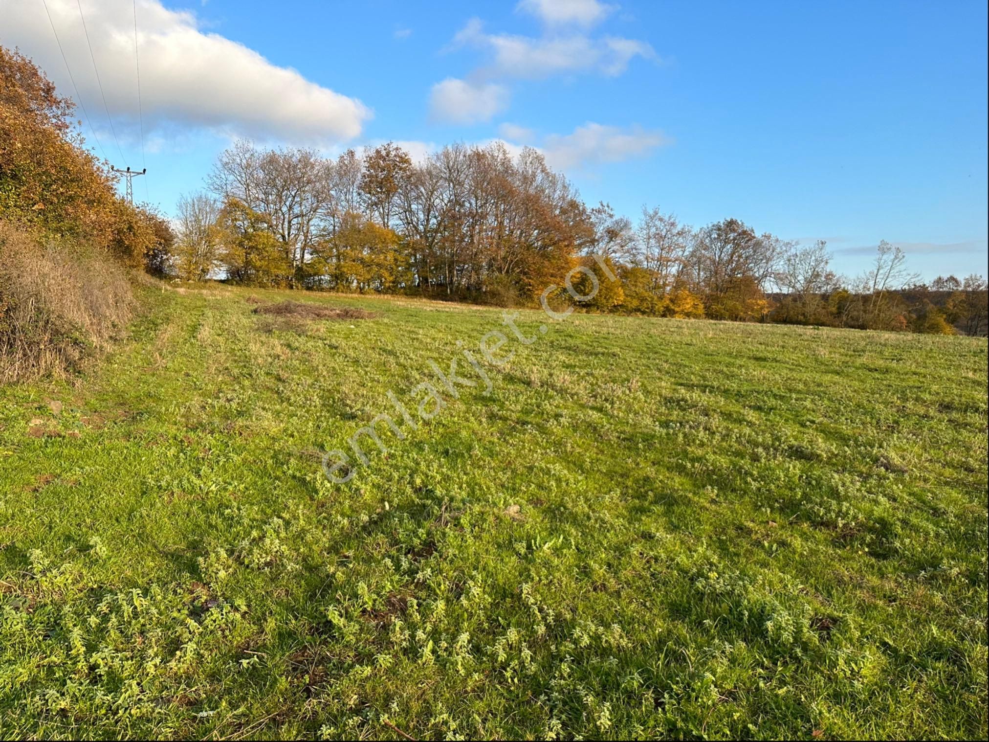 Sahibinden Satılık Köseli De Tarla - Görsel 6