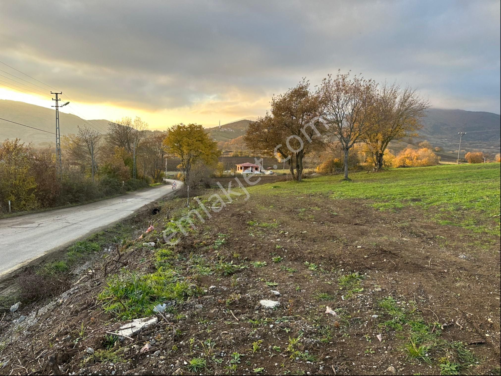 Sahibinden Satılık Köseli De Tarla