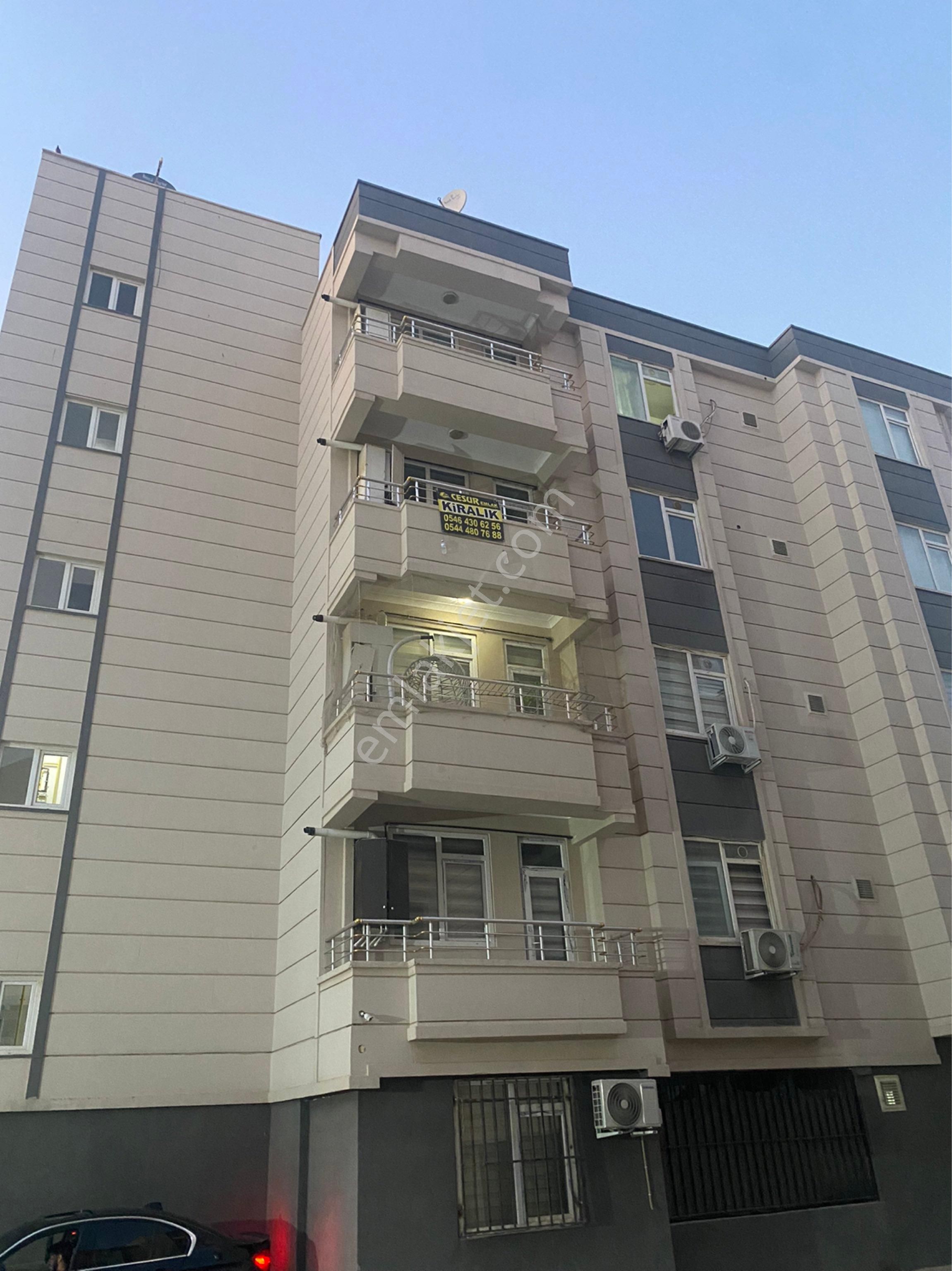 Sırrın’ Da Kiralık Eşyasız Geniş 1+1 Daire