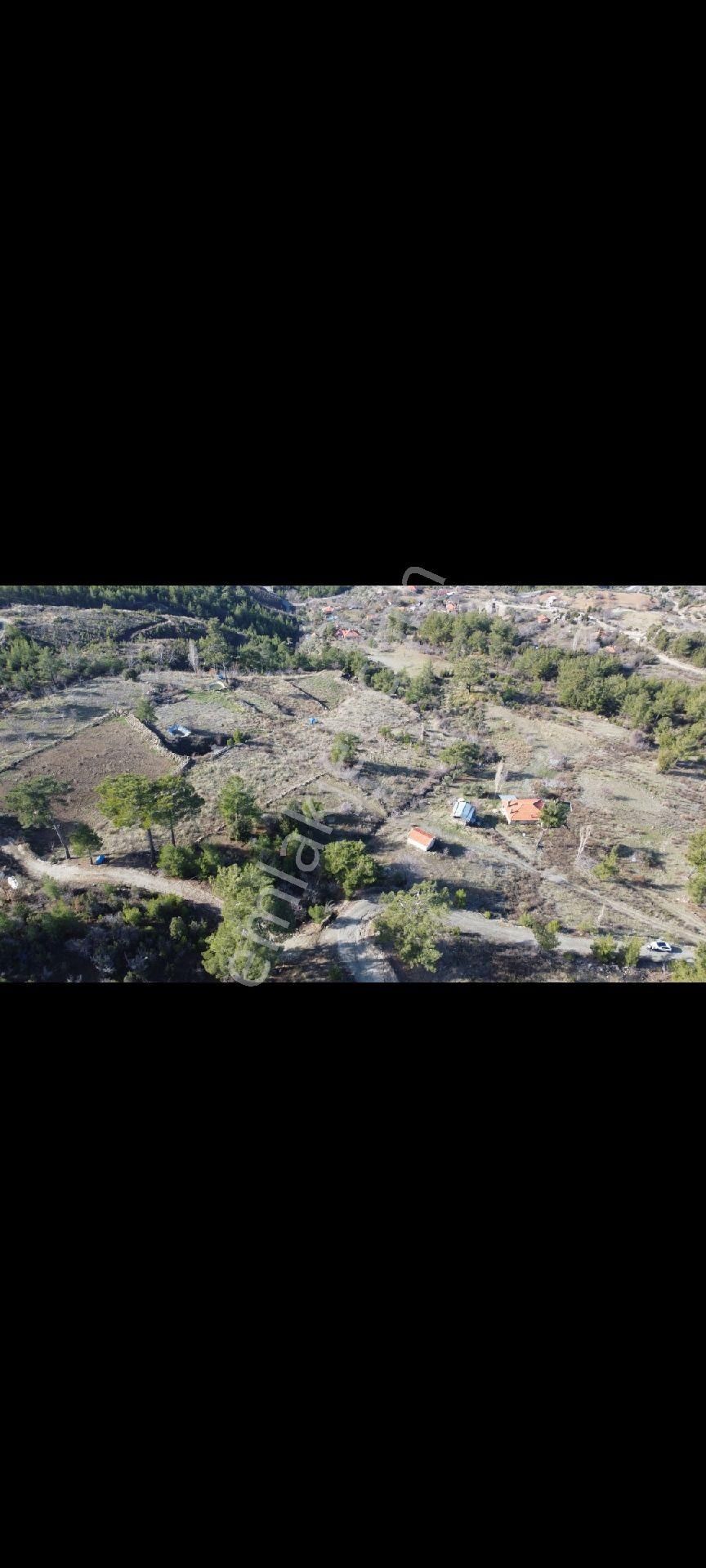 Dalaman Gürleyik Mahallesinde Satılık Tarla