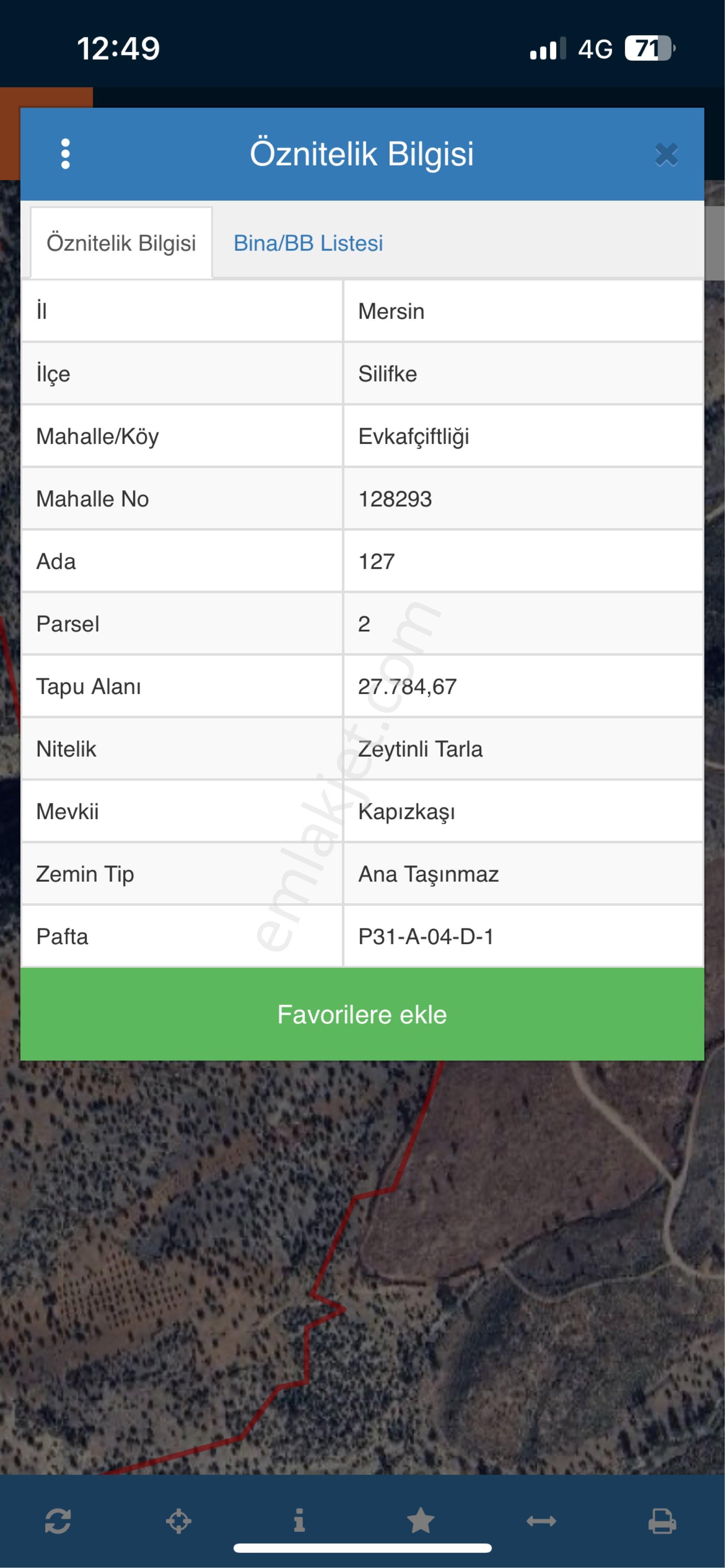 Satılık Zeytin Bahçesi - Görsel 15