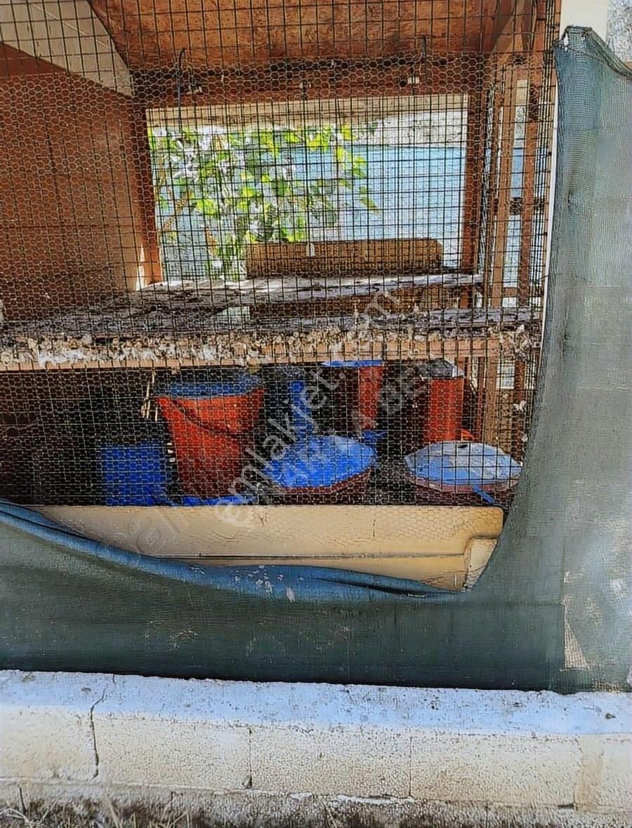 İznik Gölüne Çok Yakın Yaşam Alanı - Görsel 5