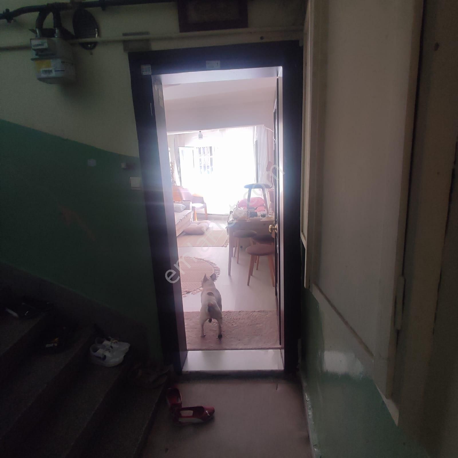 Yedikule 'de Çok Merkezi Daire Ve Dükkan Birlikte Satılıktır - Görsel 5