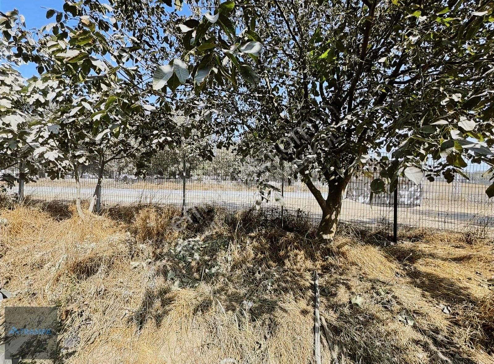 Hacımaşlıda Satılık 2 Tek Tapu Yer - Görsel 10