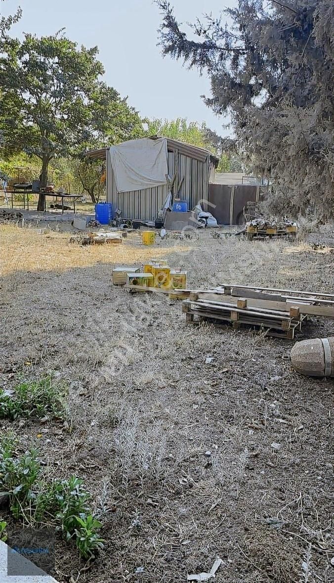 Hacımaşlıda Satılık 2 Tek Tapu Yer - Görsel 2