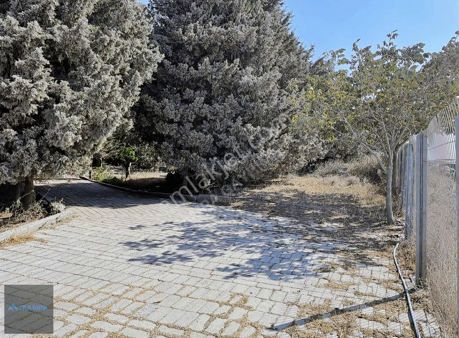 Hacımaşlıda Satılık 2 Tek Tapu Yer - Görsel 29