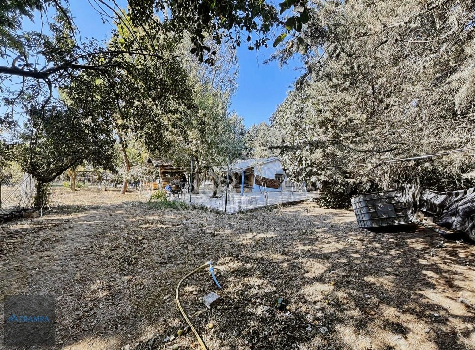 Hacımaşlıda Satılık 2 Tek Tapu Yer - Görsel 9