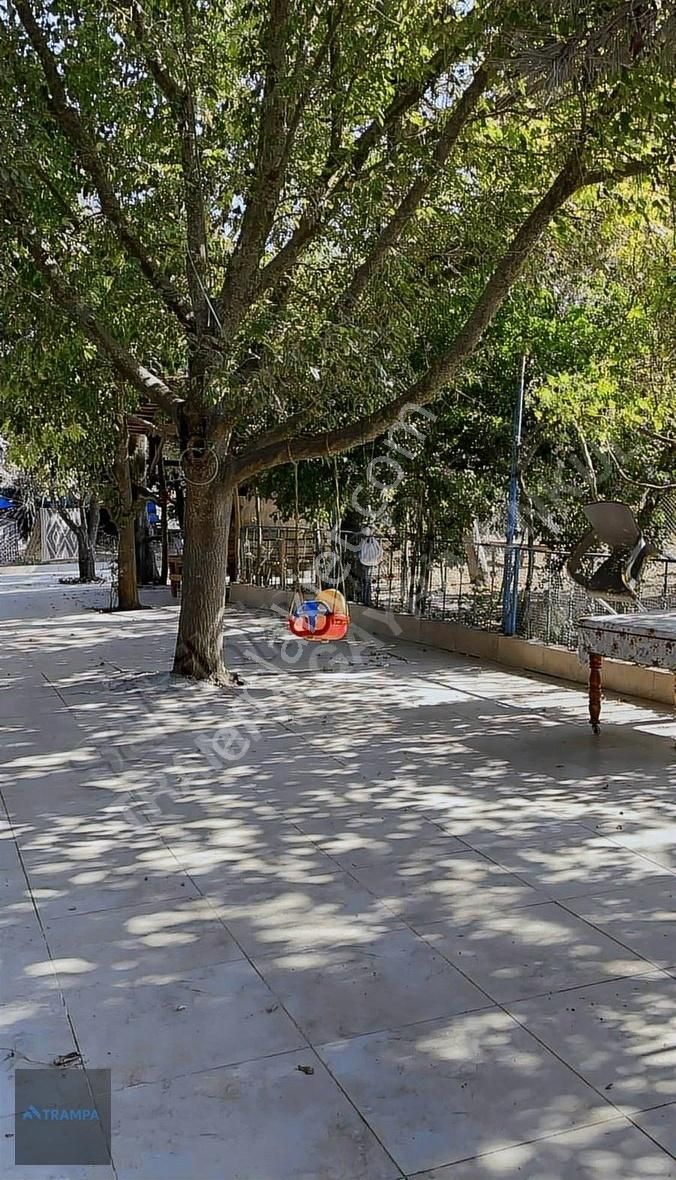 Hacımaşlıda Satılık 2 Tek Tapu Yer - Görsel 21