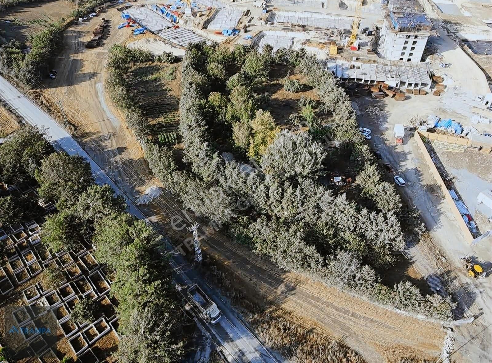 Hacımaşlıda Satılık 2 Tek Tapu Yer - Görsel 23