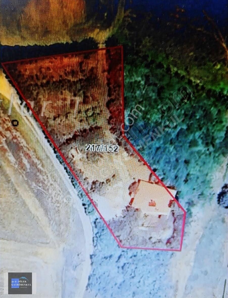 3 Katli Havuzlu 250 Çam Agaci 150 Çeşitli Meyve Agaclari İcinde - Görsel 4