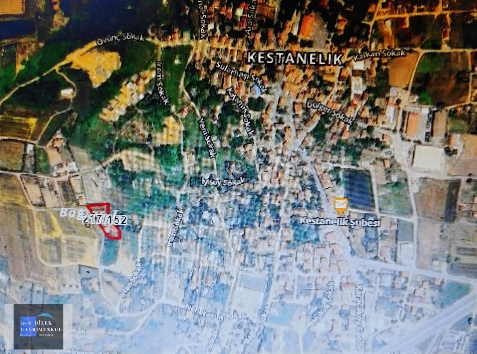 3 Katli Havuzlu 250 Çam Agaci 150 Çeşitli Meyve Agaclari İcinde - Görsel 8