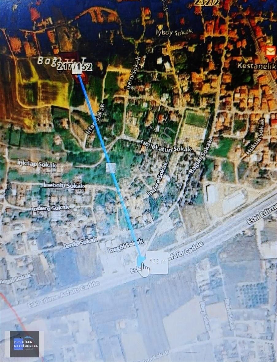 3 Katli Havuzlu 250 Çam Agaci 150 Çeşitli Meyve Agaclari İcinde - Görsel 5