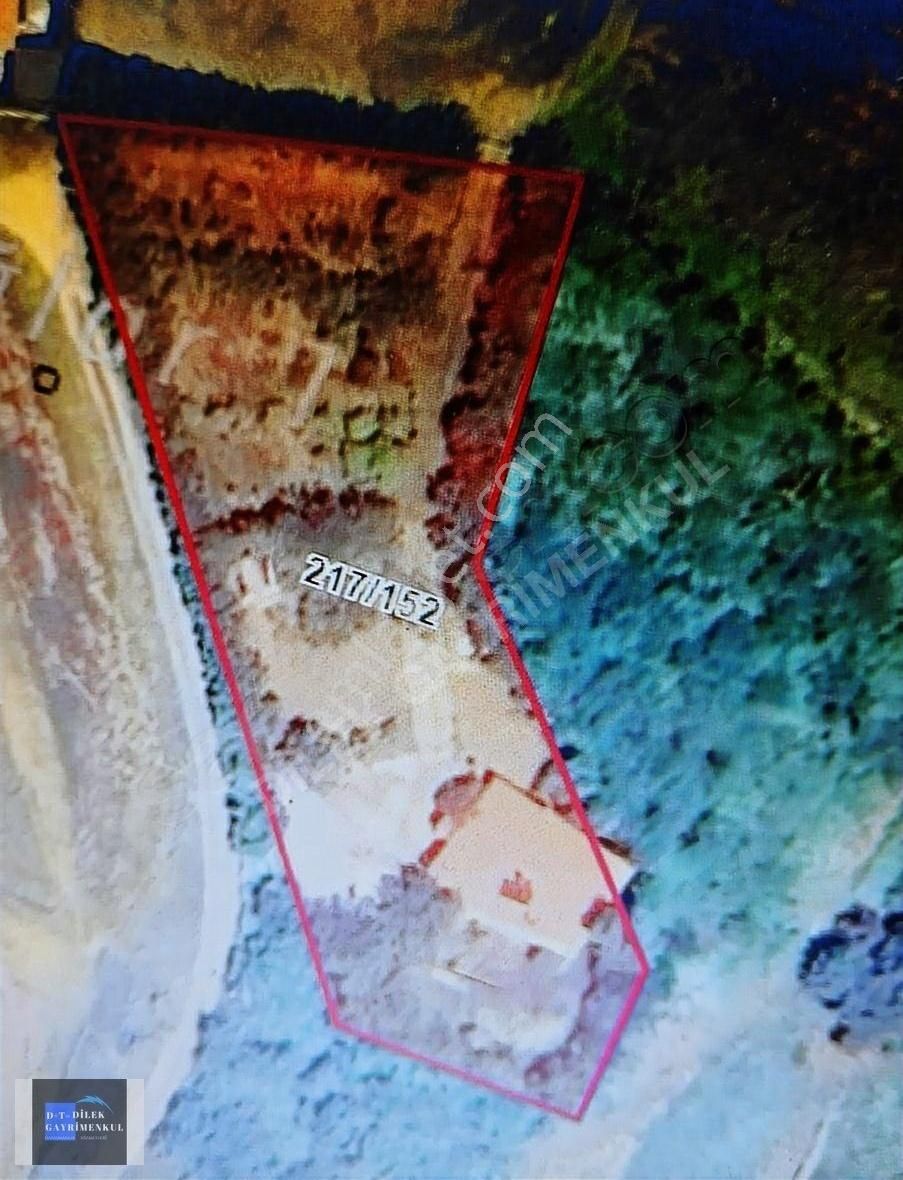 3 Katli Havuzlu 250 Çam Agaci 150 Çeşitli Meyve Agaclari İcinde - Görsel 2