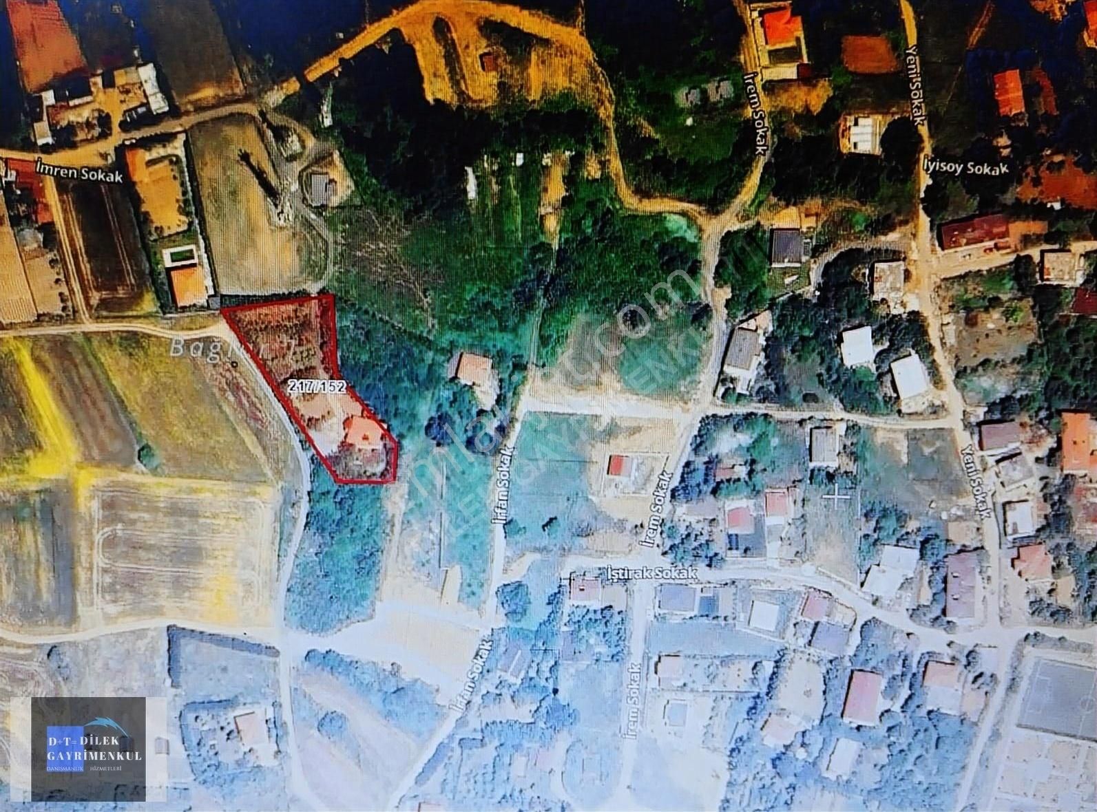 3 Katli Havuzlu 250 Çam Agaci 150 Çeşitli Meyve Agaclari İcinde - Görsel 7