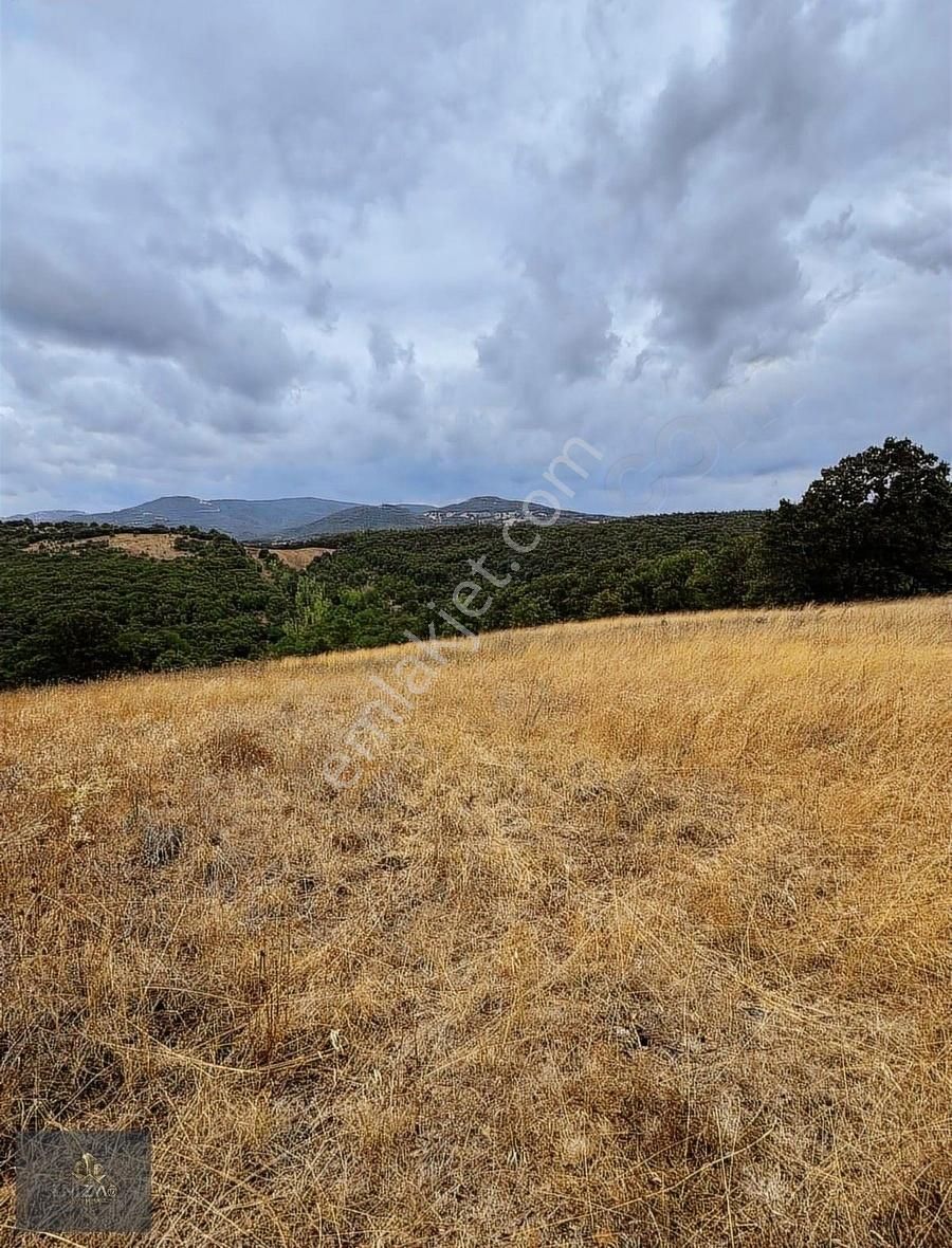 Çanakkale Yeniçeri Köyünde Satılık Yatırımlık Uygun Tarla - Görsel 2