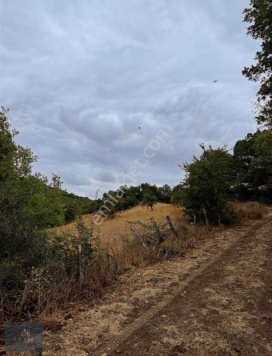 Çanakkale Yeniçeri Köyünde Satılık Yatırımlık Uygun Tarla - Görsel 3