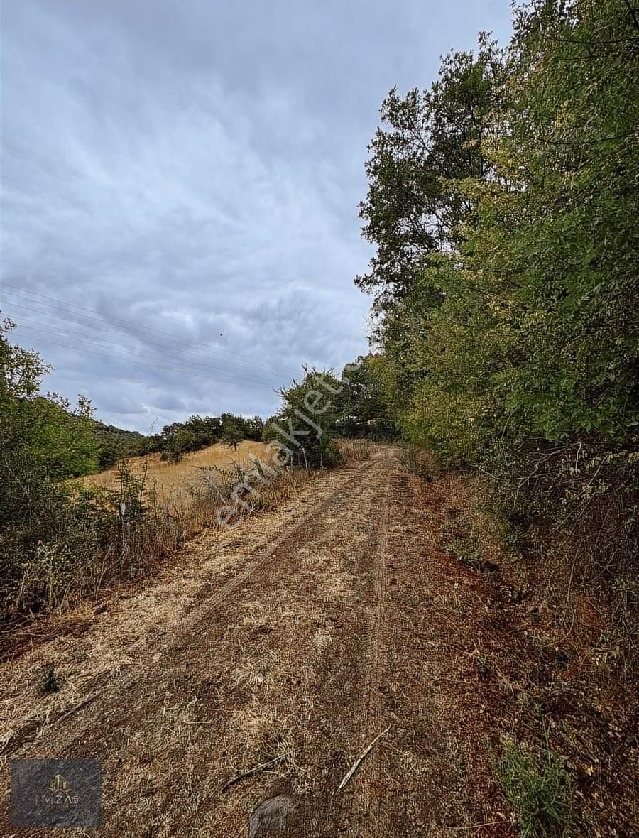 Çanakkale Yeniçeri Köyünde Satılık Yatırımlık Uygun Tarla - Görsel 7