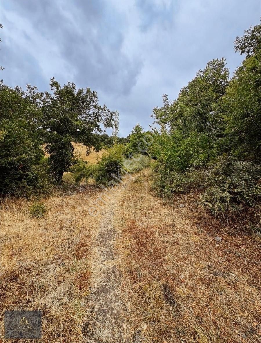 Çanakkale Yeniçeri Köyünde Satılık Yatırımlık Uygun Tarla - Görsel 6