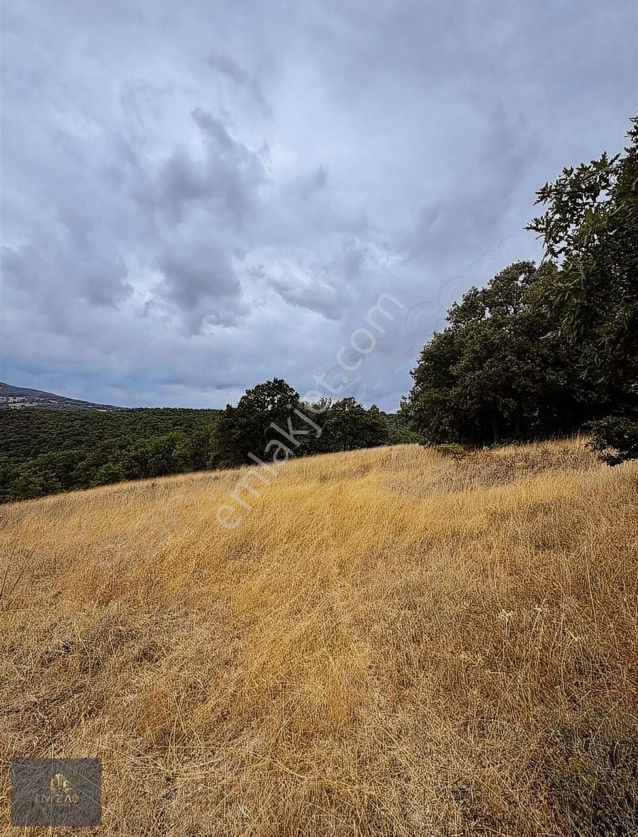 Çanakkale Çan Yeniceri Köyü Yatırımlık Arazi Satılık - Görsel 3