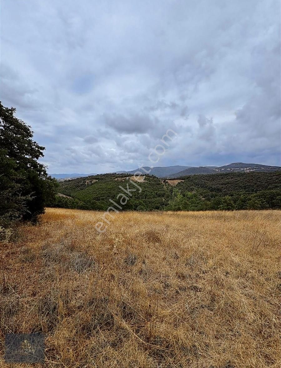 Çanakkale Çan Yeniceri Köyü Yatırımlık Arazi Satılık - Görsel 4
