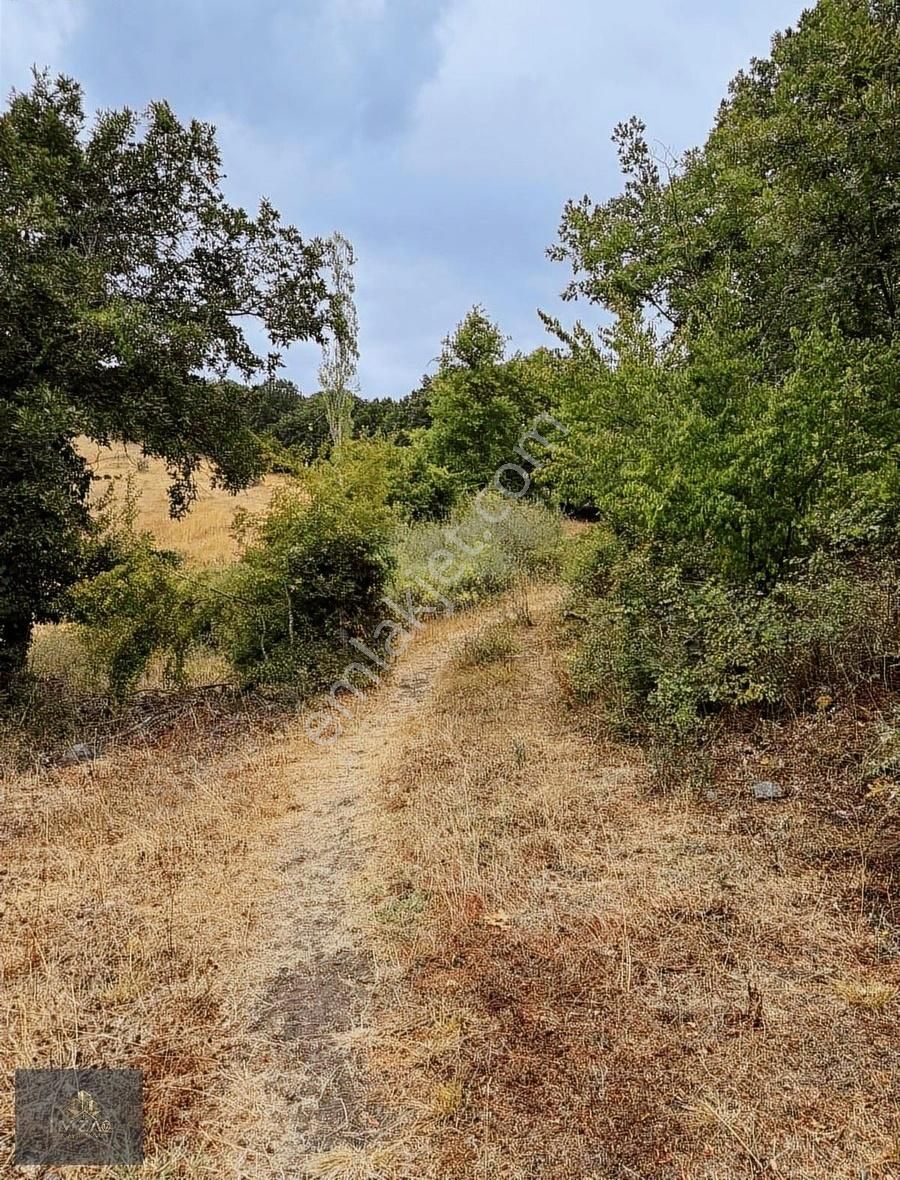 Çanakkale Çan Yeniceri Köyü Yatırımlık Arazi Satılık - Görsel 2