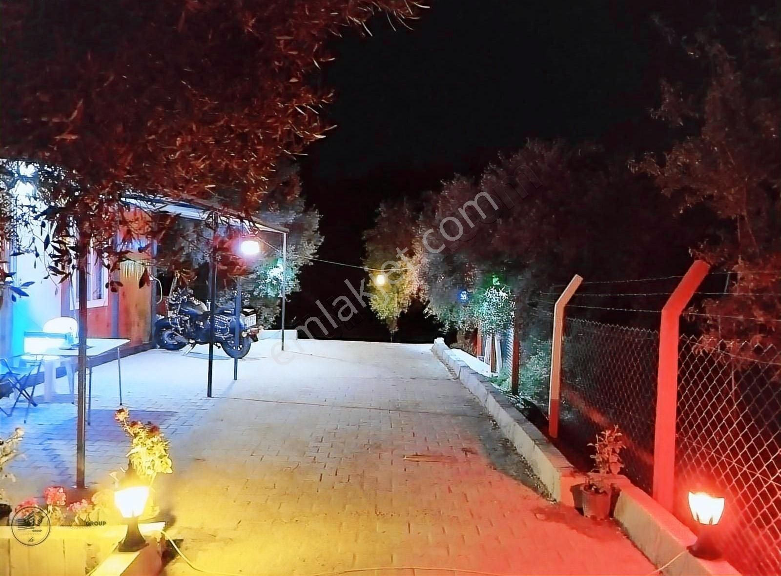 Coldwell Banker Town'dan Satılık Zeytinlik !!!! - Görsel 2
