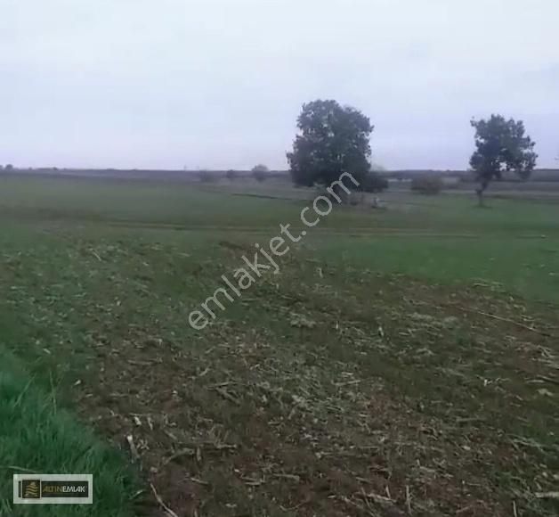 Kırklareli Lüleburgaz Ertuğrul'da Verimli Tarla