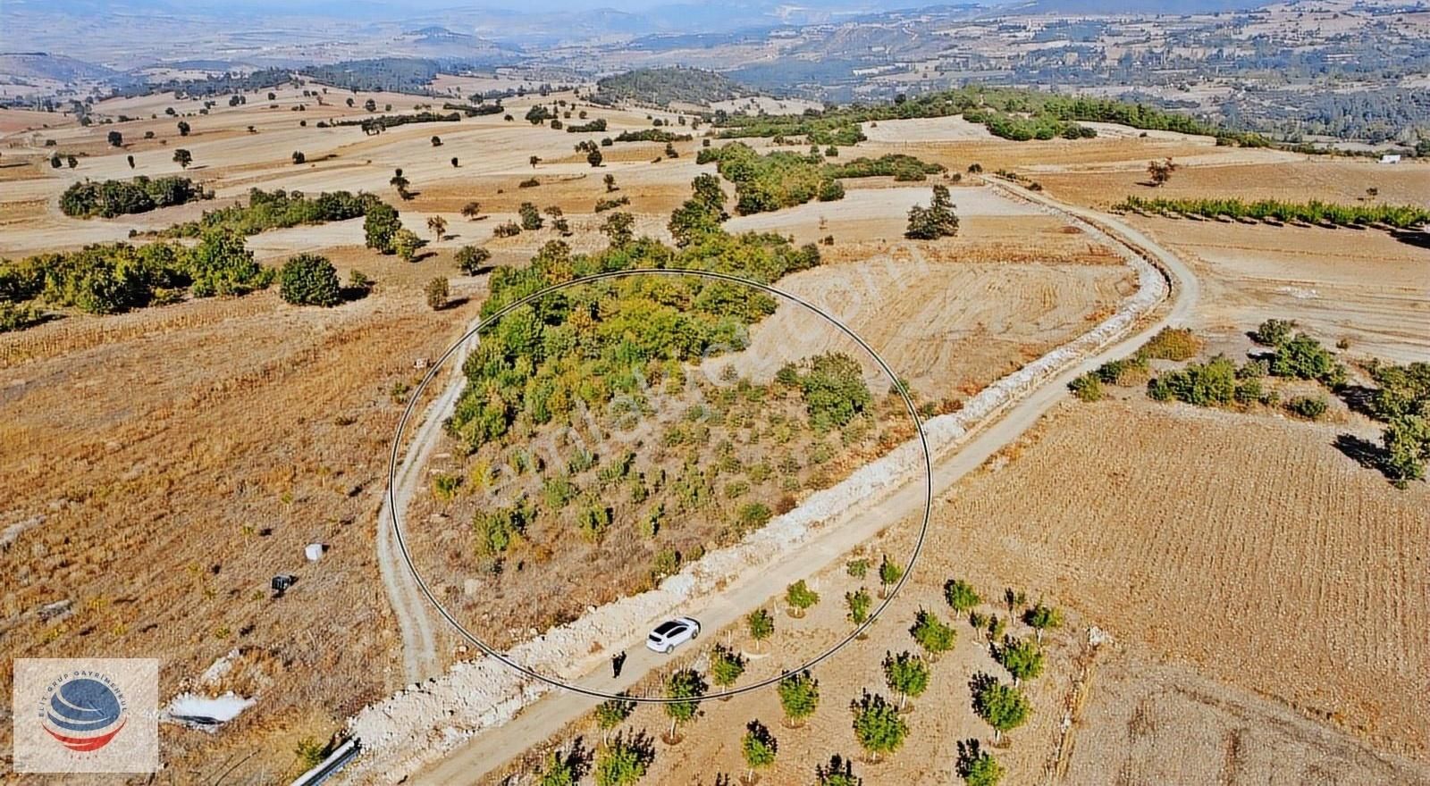 Bursa Yenişehir Mahmudiye'de 2 Cephesi Yollu Satılık Arsa - Görsel 10