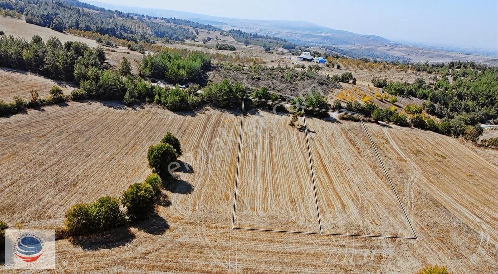 Bursa Yenişehir Çamönü'de Asfalt Yola Cephe Satılık Arsa - Görsel 12