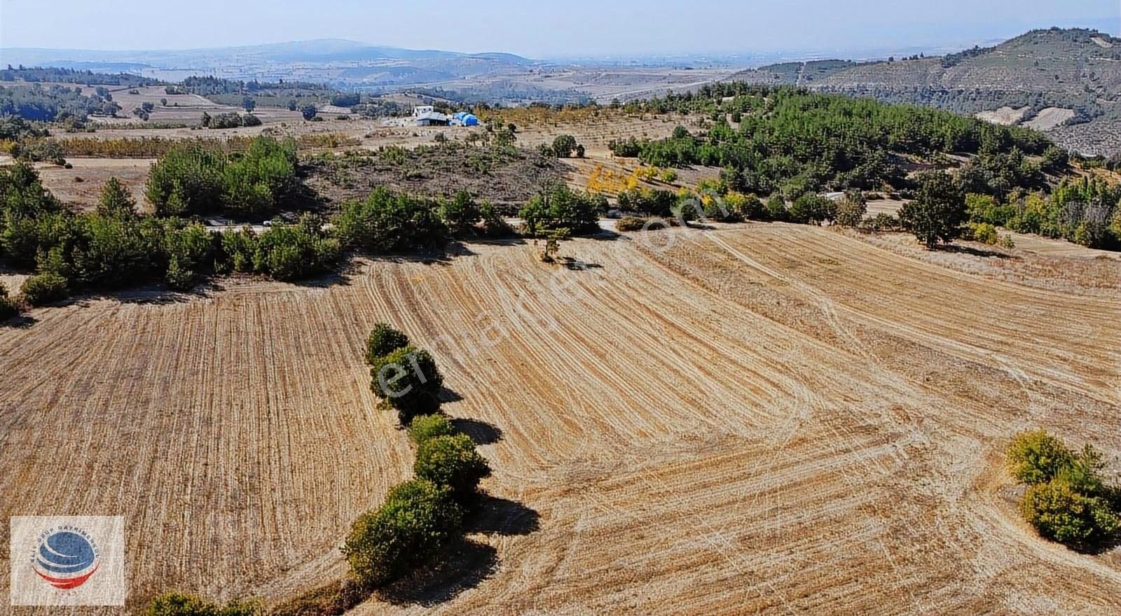 Bursa Yenişehir Çamönü'de Asfalt Yola Cephe Satılık Arsa - Görsel 10