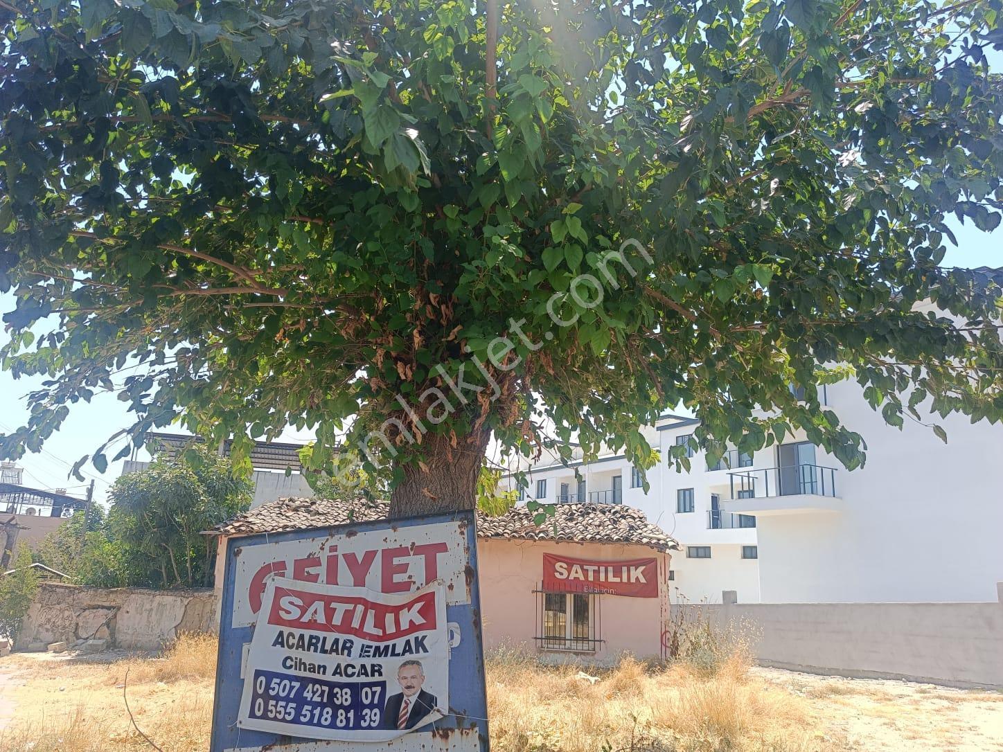 Acarlar Emlaktan Dallıca'da 233 M2 Satılık İmarlı Arsa - Görsel 10