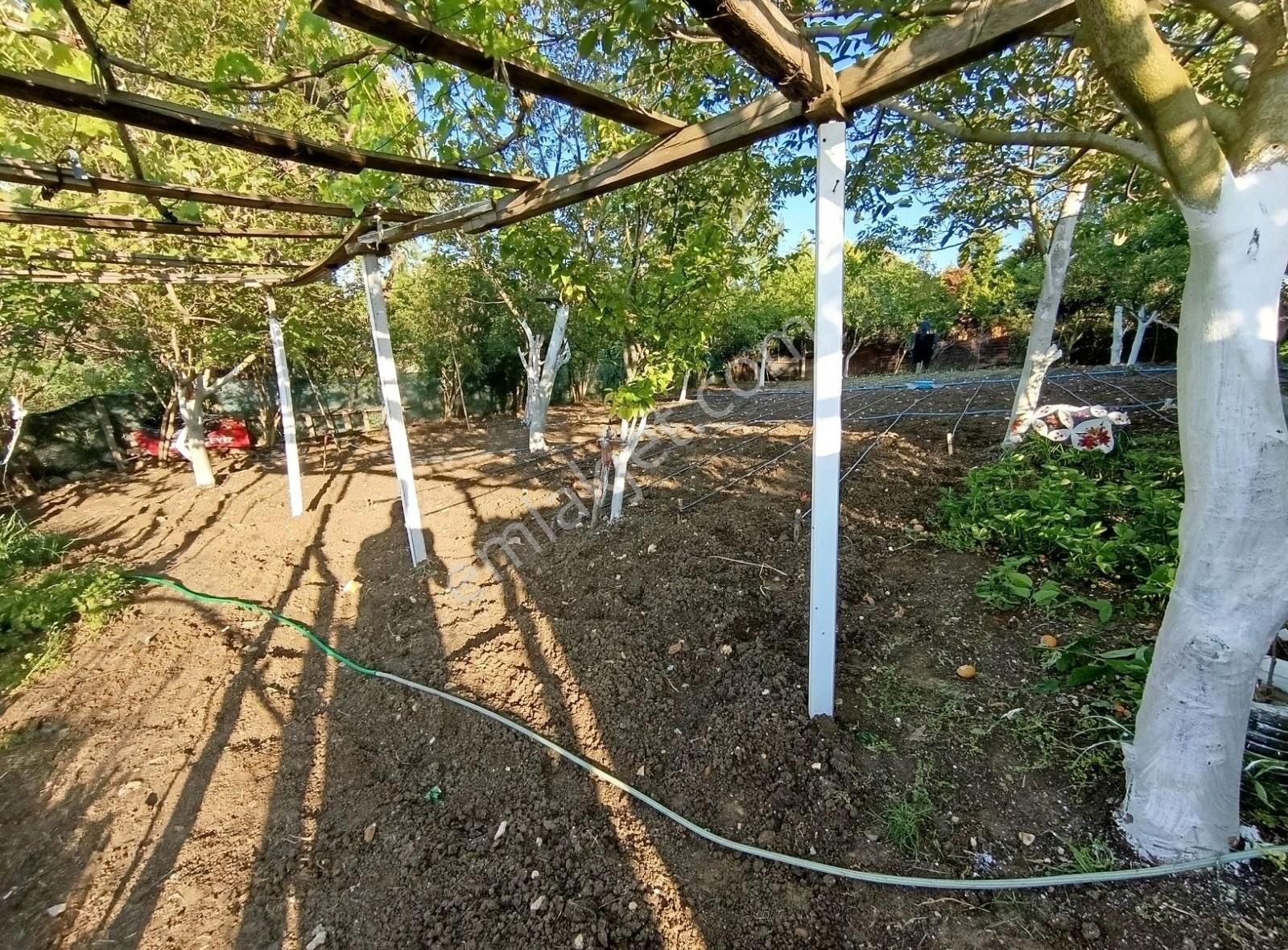 Arnavutköy Tayakadın Da Satılık Arsa - Görsel 8