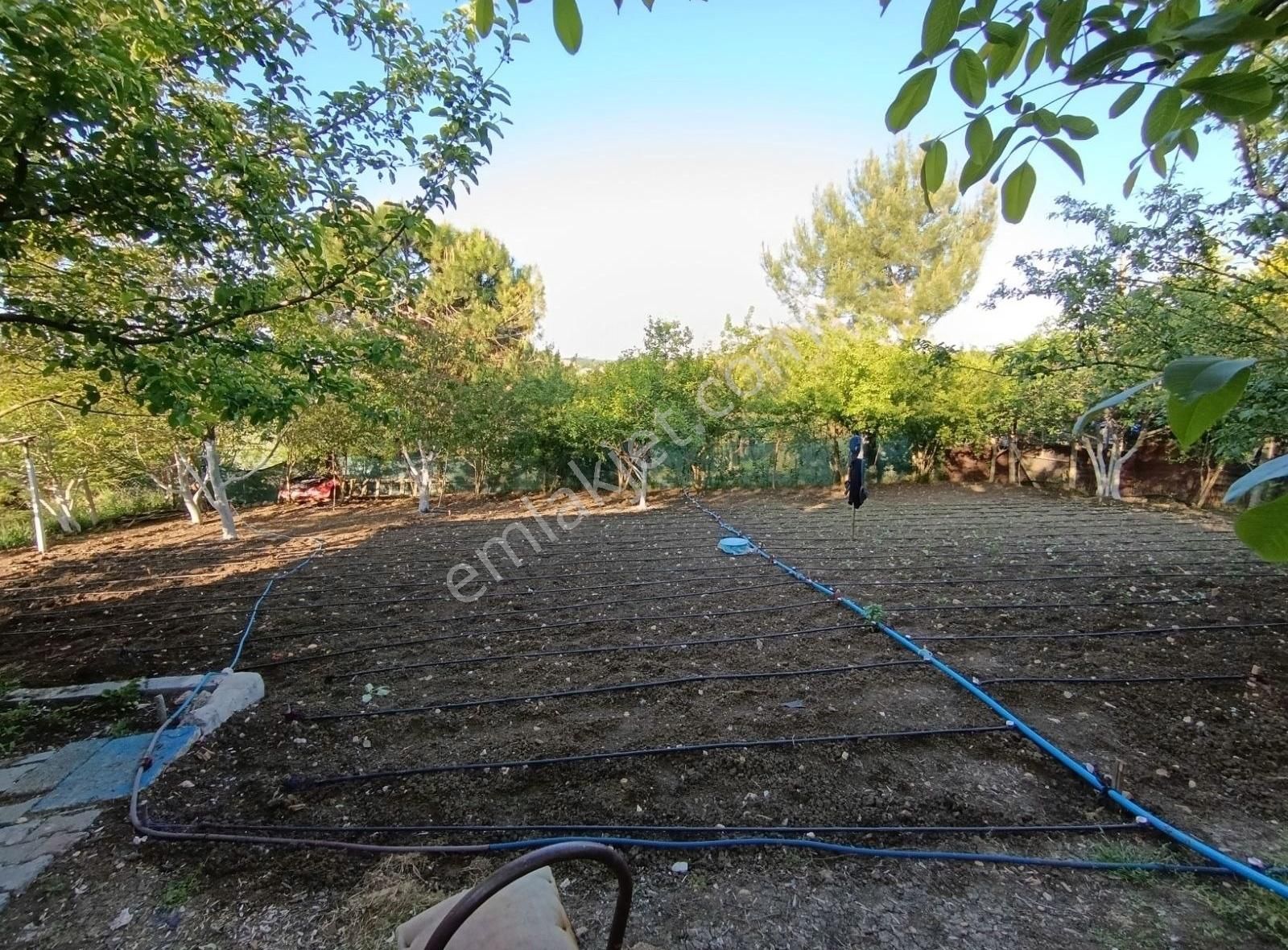 Arnavutköy Tayakadın Da Satılık Arsa - Görsel 4