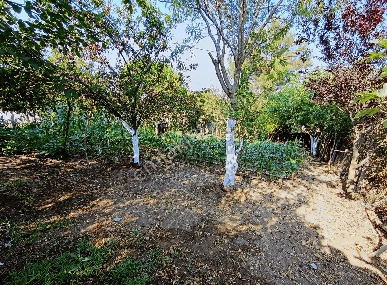 Arnavutköy Tayakadın Da Satılık Arsa - Görsel 5