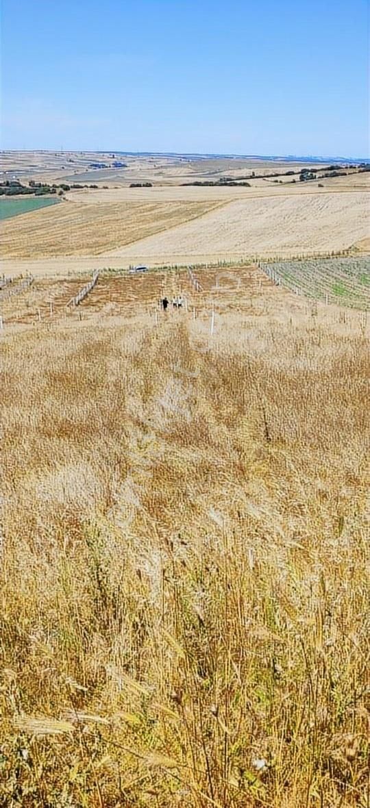 Silivri Değirmen Köy Satılık Yatırımlık Parseller - Görsel 2