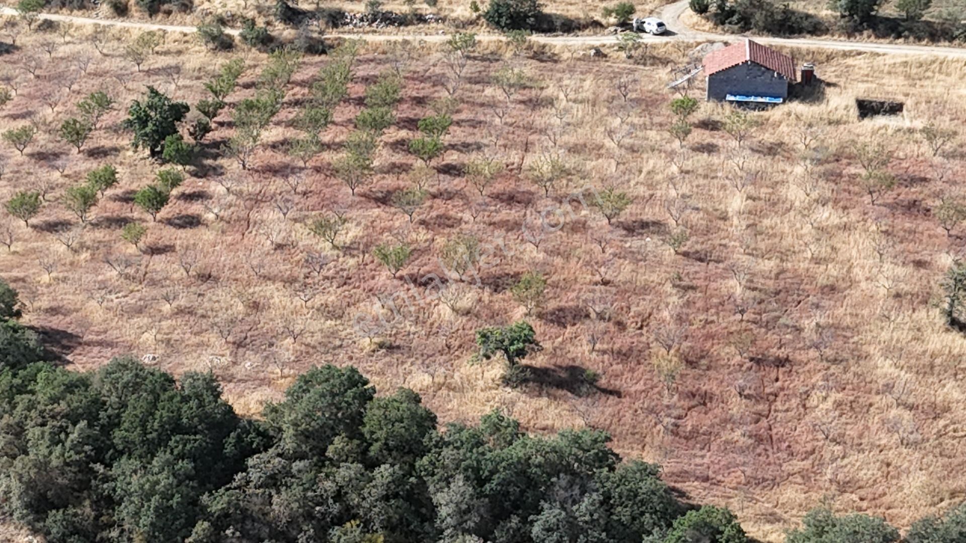 Manisa Kula Bebeklide 11,5 Dönüm Ev Bademlik Çiftlik Su Elektrik - Görsel 2