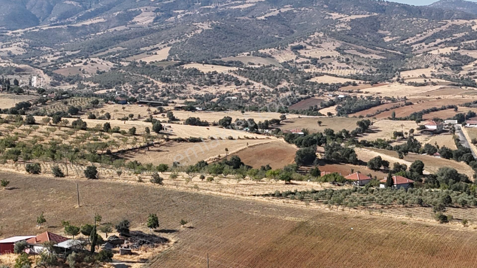 Manisa Kula Bebeklide 11,5 Dönüm Ev Bademlik Çiftlik Su Elektrik - Görsel 12