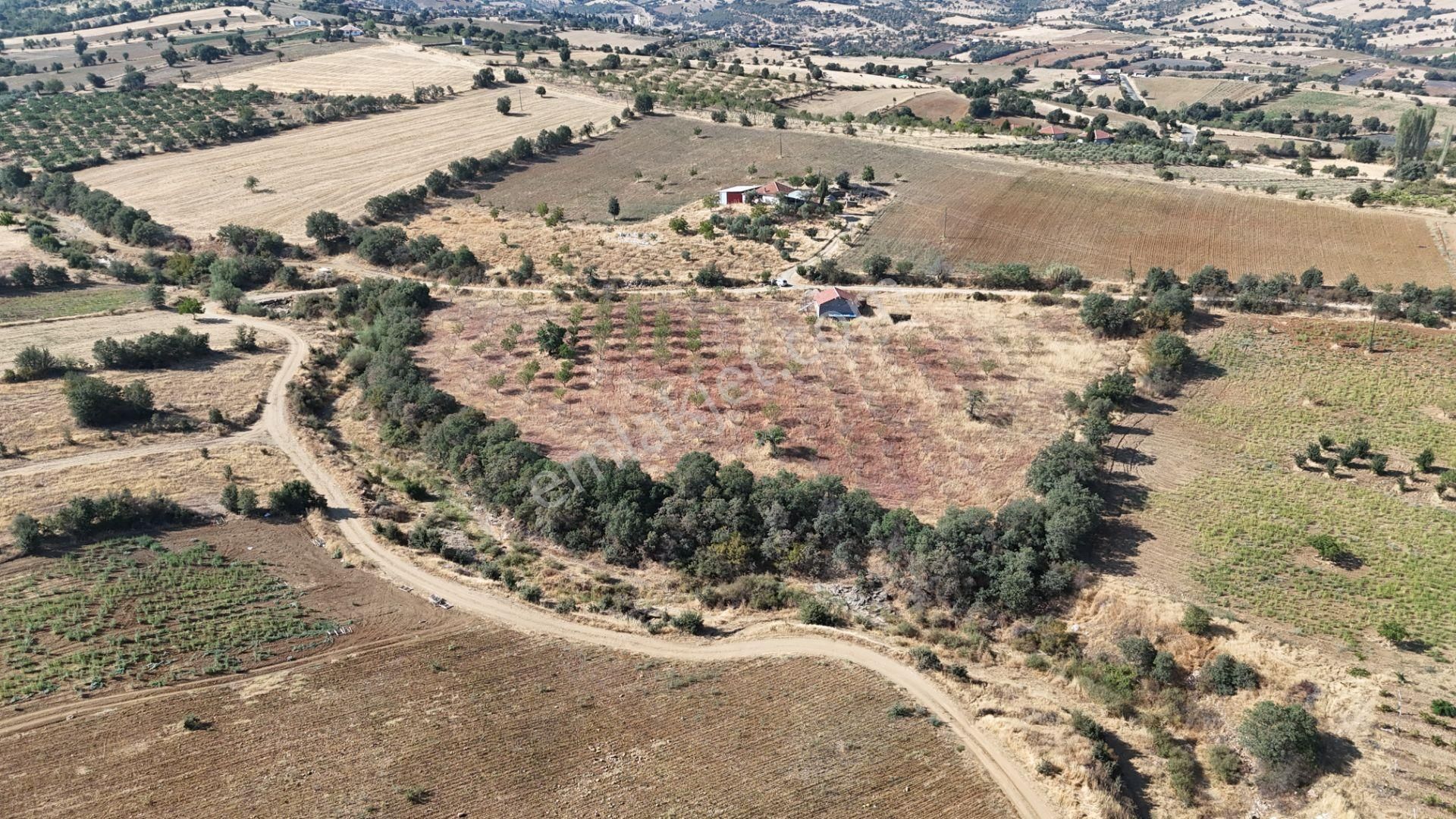 Manisa Kula Bebeklide 11,5 Dönüm Ev Bademlik Çiftlik Su Elektrik