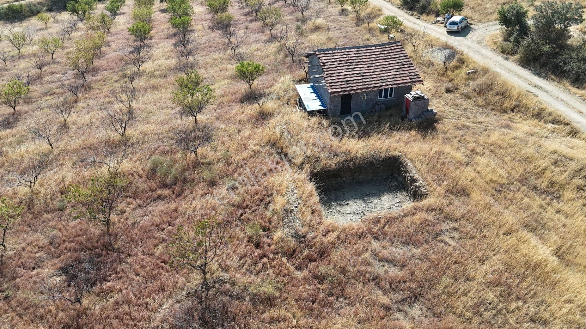 Manisa Kula Bebeklide 11,5 Dönüm Ev Bademlik Çiftlik Su Elektrik - Görsel 32