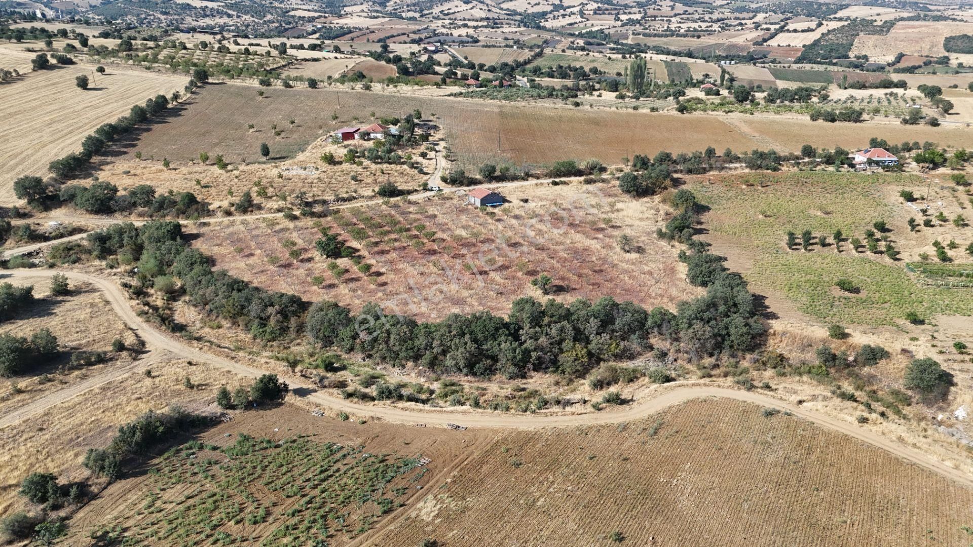 Manisa Kula Bebeklide 11,5 Dönüm Ev Bademlik Çiftlik Su Elektrik - Görsel 13