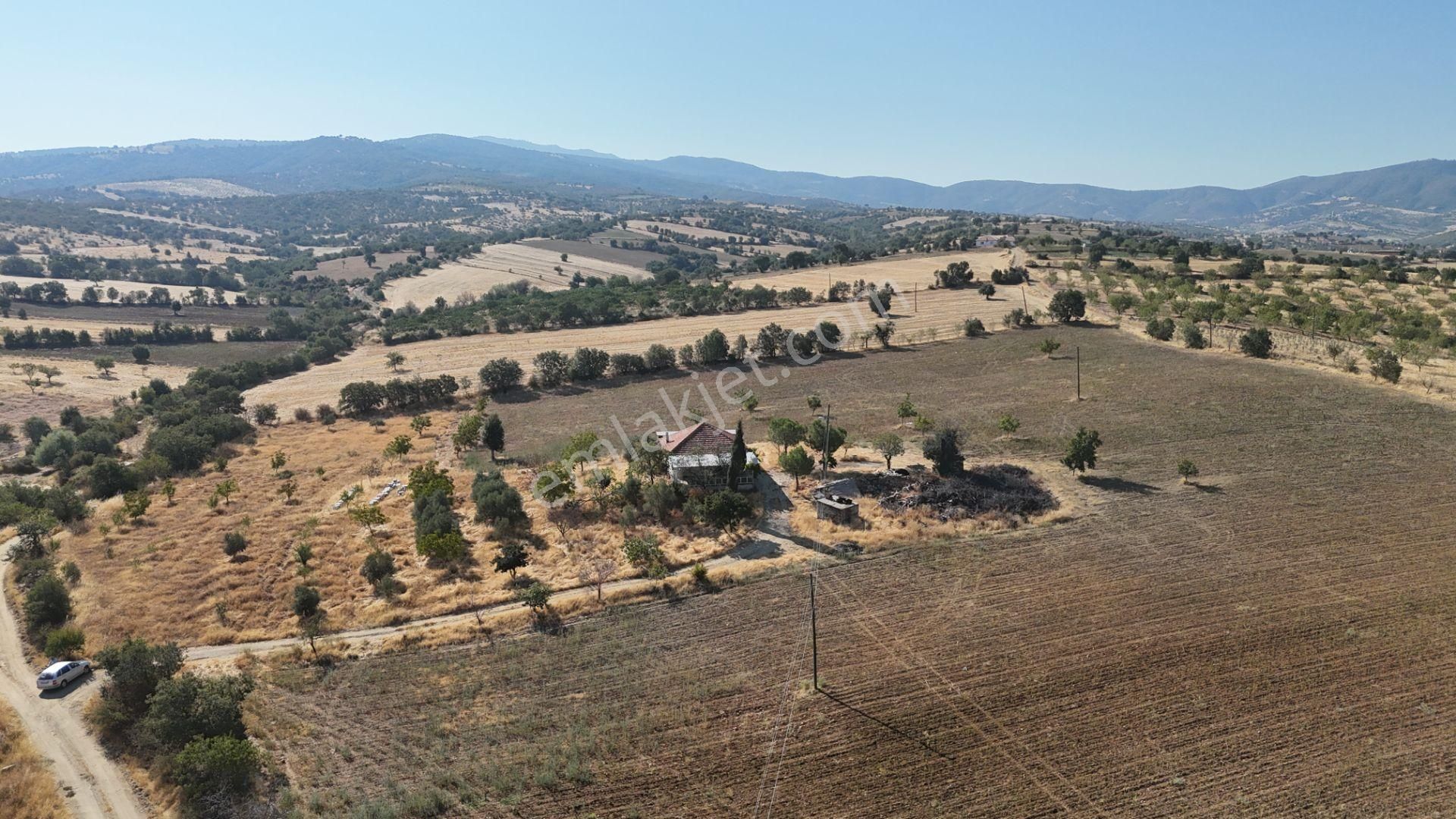 Manisa Kula Bebeklide 11,5 Dönüm Ev Bademlik Çiftlik Su Elektrik